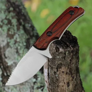 Fixed Blade Knife with Sheath